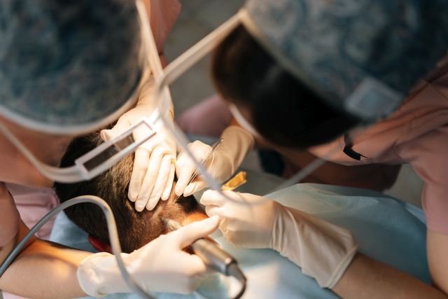 bad hair transplant repair second opinion